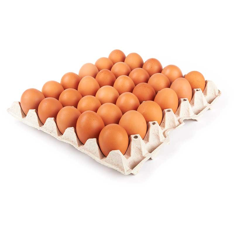 Plateau de 30 oeufs